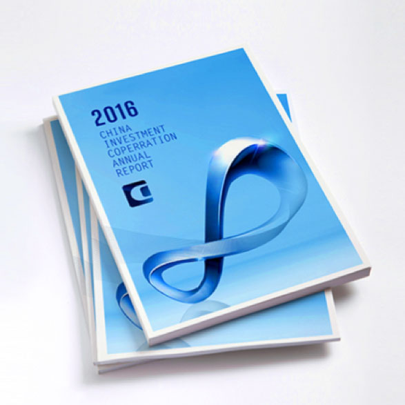 中国投资有限公司年报